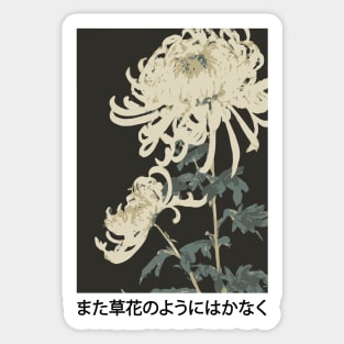 White Chrysanthemum Flowers | Seneh Design Co. Sticker